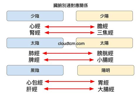 按摩五行|從經絡臟腑別通的對應關係，找出6組神效的穴道配。